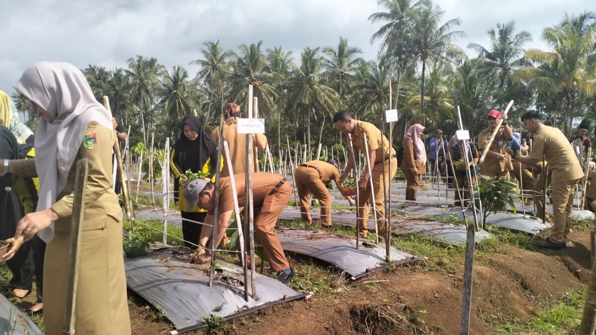 Pegawai Pemkab Tanggamus saat melaksanakan program Gertak Mata Babe di Pekon Tegal Binangun, Sumberejo, Selasa 8 Juli 2025 | Asrul Ariski/Media Prioritastv.com.