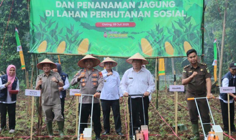 Kapolres Tanggamus AKBP Rahmad Sujatmiko saat memimpin tanam jagung di Pekon Gisting Atas, Kecamatan Gisting, Rabu 9 Juli 2025 | Asrul Ariski/Media Prioritastv.com.