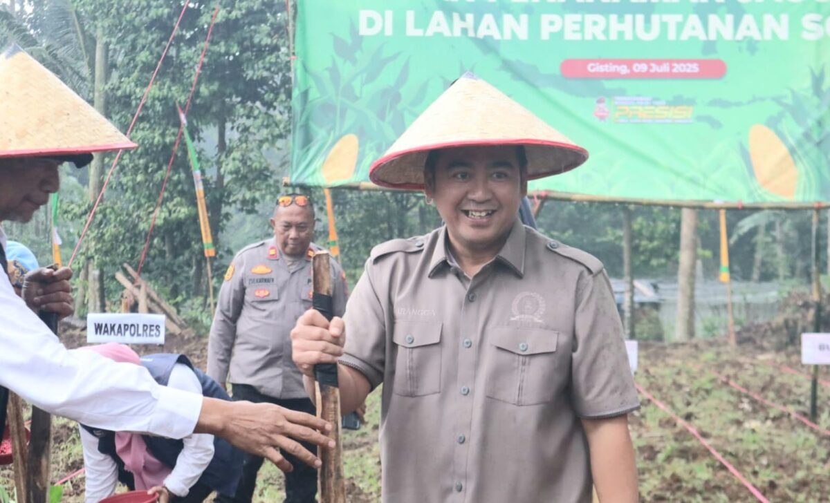 Wakil Ketua I DPRD Tanggamus, M. Rangga Putra Hakim saat menanam jagung dalam program tanam jagung kuartal III di Gisting Atas, Gisting, Rabu 9 Juli 2025 | Herdi/Media Prioritastv.com.