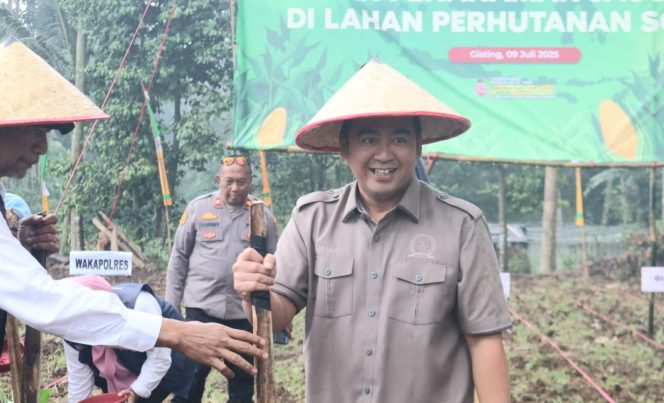 
 Wakil Ketua I DPRD Tanggamus, M. Rangga Putra Hakim saat menanam jagung dalam program tanam jagung kuartal III di Gisting Atas, Gisting, Rabu 9 Juli 2025 | Herdi/Media Prioritastv.com.