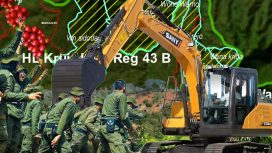 Ilustrasi perusakan hutan register 43 B, Sidomulyo, Lampung Barat |