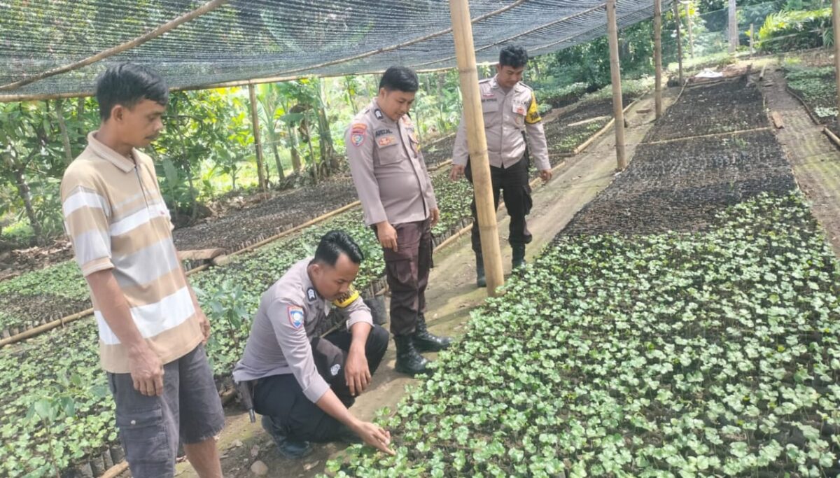 Bhabinkamtibmas Polsek Wonosobo, Polres Tanggamus, menyambangi warga Pekon Simpang Bayur, BNS, Minggu 13 Juli 2025 | Dok. Humas Polres Tanggamus.