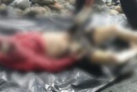 Kondisi mayat yang ditemukan warga di Pantai Cukuh Pandan, Pekon Padang Ratu, Limau, Tanggamus, Selasa 15 Juli 2025 | Ist.