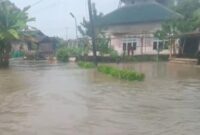 Banjir yang menggenang di Pekon Tampang Muda Kecamatan Pematang Sawa, Tanggamus, Minggu 27 Juli 2025 | Ist.