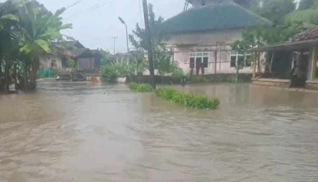 Banjir yang menggenang di Pekon Tampang Muda Kecamatan Pematang Sawa, Tanggamus, Minggu 27 Juli 2025 | Ist.