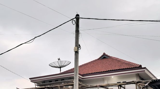 
					Kondisi tiang dan kabel PLN di Pekon Pardasuka, Wonosobo, Tanggamus yang belum teraliri listrik sejak 7 tahun silam, Rabu 30 Juli 2025 | Asrul Ariski/Media Prioritastv.com.
