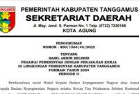 Pengumuman Hasil Seleksi PPPK Tanggamus Tahun 2024 Tahap II | Dok. Pemkab Tanggamus.