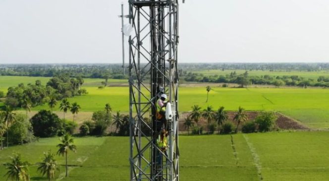 Pemasangan Taara Google di India | Wired.