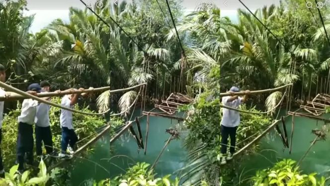 Kolase foto video viral pelajar SMP di Pematang Sawa, Tanggamus, Lampung melewati jembatan gantung yang rusak untuk berangkat ke sekolah | Dok. Tangkapan Layar Video.
