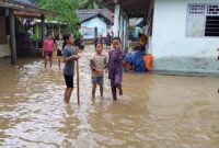 Kondisi banjir di Dusun Sinarmaju Pekon Negarabatin, Kota Agung Barat, Tanggamus, Kamis 28 Agustus 2025 | Herdi/Media Prioritastv.com.