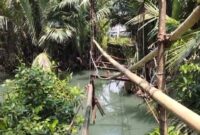 Kondisi jembatan gantung yang rusak parah di Pekon Tampang Muda, Pematang Sawa, Tanggamus | Dok. Ist.