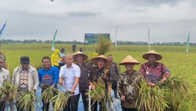 
 Program Petani Mitra Adhyaksa Jadi Terobosan Baru Dalam Mewujudkan Swasembada Pangan Nasional
