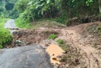Akses jalan penghubung antara Pekon Kacamarga menuju Pekon Pertiwi dan Kelumbayan, Kecamatan Cukuh Balak yang ambrol, Selasa 9 September 2025 | A.Hayat Purba/Media Prioritastv.com.