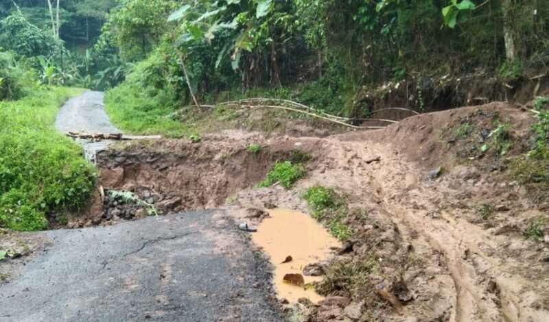 Akses jalan penghubung antara Pekon Kacamarga menuju Pekon Pertiwi dan Kelumbayan, Kecamatan Cukuh Balak yang ambrol, Selasa 9 September 2025 | A.Hayat Purba/Media Prioritastv.com.