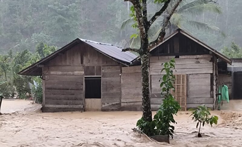 Salah satu rumah warga yang terendam banjir di Suoh, Lampung Barat, Rabu 10 September 2025 | Ist.