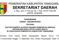 Pengumuman PPPK Paruh Waktu Pemkab Tanggamus Tahun Anggaran 2024 | Dok. Pemkab Tanggamus.