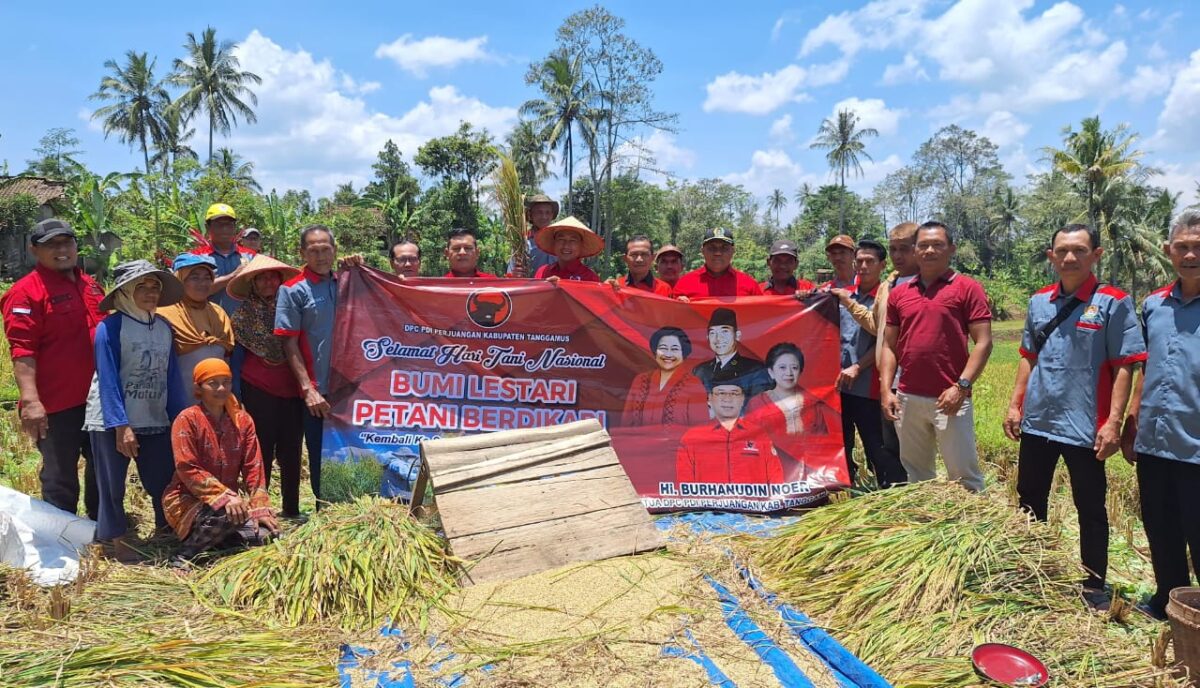 Ketua DPRD Tanggamus, Agung Setyo Utomo saat memimpin langsung turun ke sawah di Dusun 3 Pekon Campang, Kecamatan Gisting, Rabu 24 September 2025 | Mustar Aripin/Media Prioritastv.com.