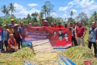 Ketua DPRD Tanggamus, Agung Setyo Utomo saat memimpin langsung turun ke sawah di Dusun 3 Pekon Campang, Kecamatan Gisting, Rabu 24 September 2025 | Mustar Aripin/Media Prioritastv.com.