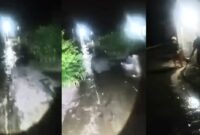 Kolase foto banjir yang menggenangi pemukiman warga di Pekon Tirom, Pematang Sawa, Tanggamus, Jumat 7 November 2025, malam | Dok. Facebook Arian Safri Rian.