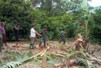 Pemeriksaan lokasi oleh Koramil Wonosono paska serangan gajah liar di Blok 39 Bandar Negeri Semuong, Tanggamus, Sabtu 15 November 2025 | Dok. Kodim 0424 Tanggamus.