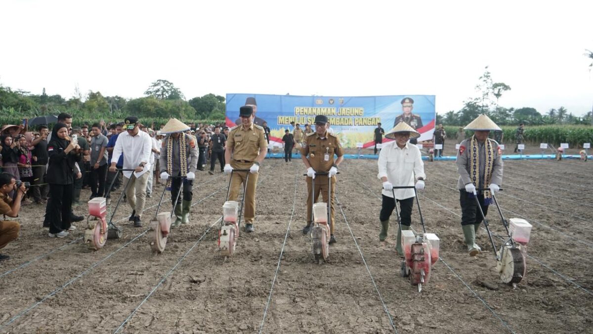 Menteri Koordinator Bidang Pangan Zulkifli Hasan dalam kegiatan Penanaman Jagung Menuju Swasembada Pangan di Lampung Selatan, Selasa (2/12/2025).