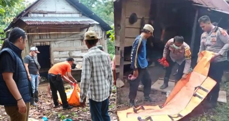Kolase foto saat polisi melakukan evakuasi jenazah Bastami (70) di Kebun Hampatoh, Pekon Pekonbalak, Wonosobo, Selasa 11 November 2025 dan Usman (80) di Dusun Tanjunh Senang, Pekon Gedung, Cukuh Balak, Jumat 28 November 2025 |