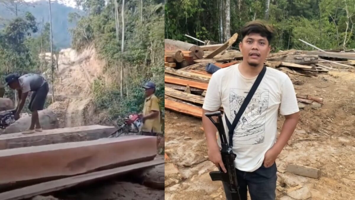 Kolase foto saat dua orang melakukan pembelahan kayu diduga hasil pembalakan liar dan saat anggota Polres Pesisir Barat meninjau lokasi di Pekon Penengahan, Kecamatan Lemong, Pesisir Barat, Sabtu 6 Desember 2025 | Dok. Tangkapan Layar Video.
