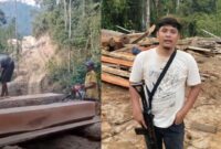Kolase foto saat dua orang melakukan pembelahan kayu diduga hasil pembalakan liar dan saat anggota Polres Pesisir Barat meninjau lokasi di Pekon Penengahan, Kecamatan Lemong, Pesisir Barat, Sabtu 6 Desember 2025 | Dok. Tangkapan Layar Video.