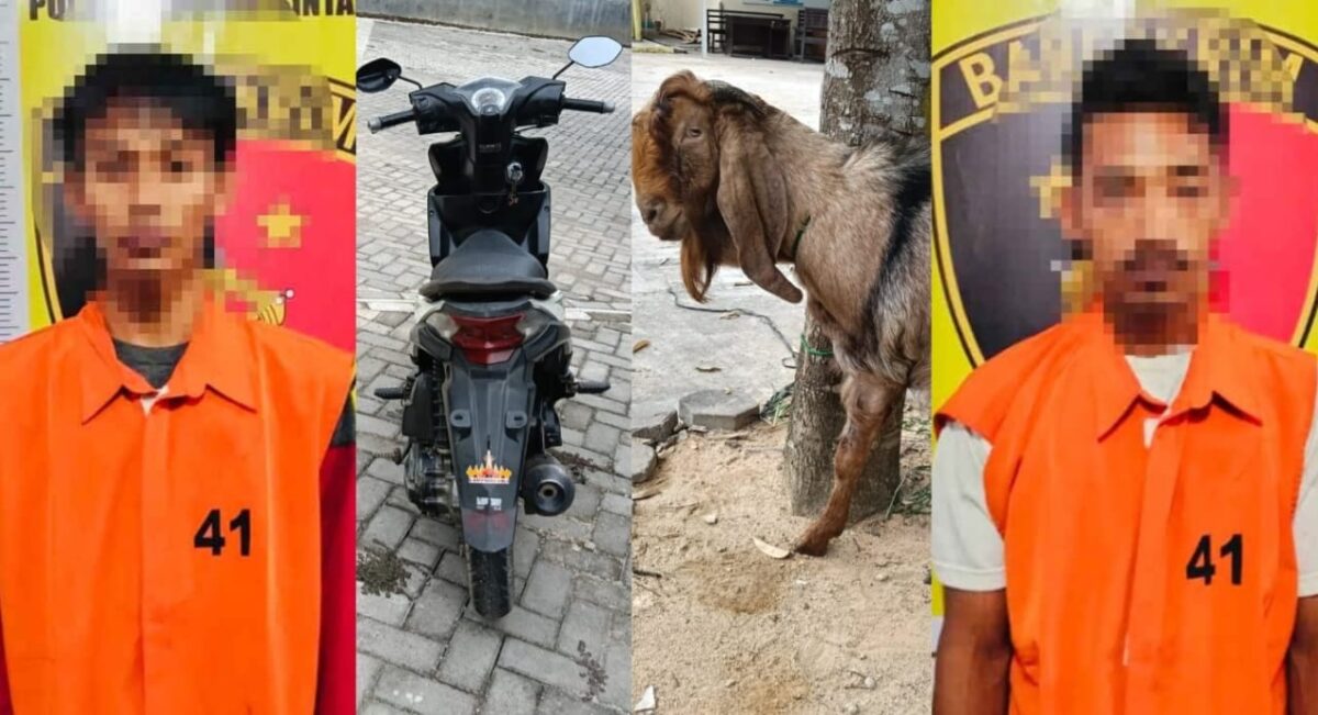 Kolase foto kedua tersangka yang ditangkap Polsek Tanjung Bintang Lampung Selatan bersama barang bukti hasil dan alat kejahatannya.