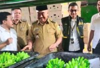 Bupati Tanggamus Hi. Moh. Saleh Asnawi saat melihat pisang yang akan di ekpor, Senin 22 Desember 2025 | Dok. Kominfo Pemkab Tanggamus.