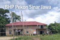 Dugaan penyalahgunaan Dana Desa melalui SPJ Fiktif Pekon Sinar Jawa, Air Naningan, Tanggamus | Foto : Media Prioritastv.com.