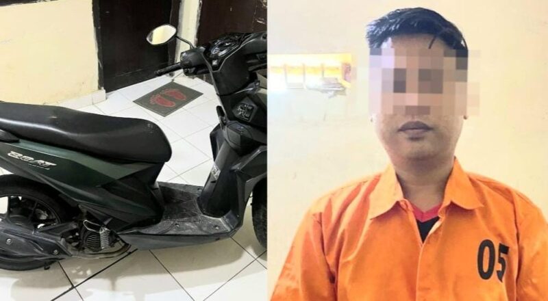 Kolase foto motor hasil begal di Pringsewu yang berhasil disita polisi dan tersangka penadahan Lodia Fitra yang membeli sekaligus akan menjual yang ditangkap Jumat 26 Desember 2025 | Dok. Humas Polres Pringsewu.