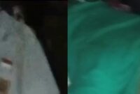 Foto telah disamarkan untuk melindungi identitas pihak terkait | Tangkapan Layar Video.