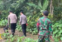 Anjing Pelacak K9 Ditsamapta Polda Lampung saat diarahkan mengendus tanda-tanda Mbah Kaliman di perkebunan warga Gading Rejo, Jumat 23 Januari 2026 | Dok. Humas Polres Pringsewu.