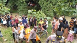 Petugas gabungan bersama warga saat mengevakuasi korban Mbah Kaliman usai ditemukan di Sungai Gading Rejo, Pringsewu, Minggu 1 Februari 2026 |