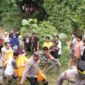 Petugas gabungan bersama warga saat mengevakuasi korban Mbah Kaliman usai ditemukan di Sungai Gading Rejo, Pringsewu, Minggu 1 Februari 2026 |