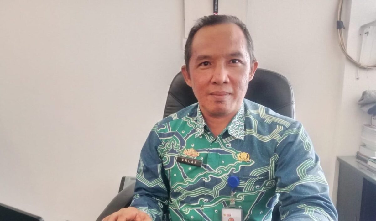 Kepala Dinas Penanaman Modal dan Pelayanab Terpadu Satu Pintu Tanggamus, Erlan Deni Saputra |