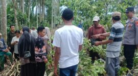 Warga dan polisi saat mendatangi TKP penemuan jenazah Lansia diduga tertimpa pohon di Pekon Simpang Kanan, Sumberejo, Tanggamus, Kamis 5 Februari 2026 | ist/Media Prioritastv.com.