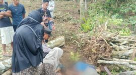 Polisi dan pihak medis saat melakukan identifikasi di TKP Kebun Simpang Kanan, Sumberejo, Tanggamus, Kamis 5 Februari 2026 | Dok. Humas Polres Tanggamus.