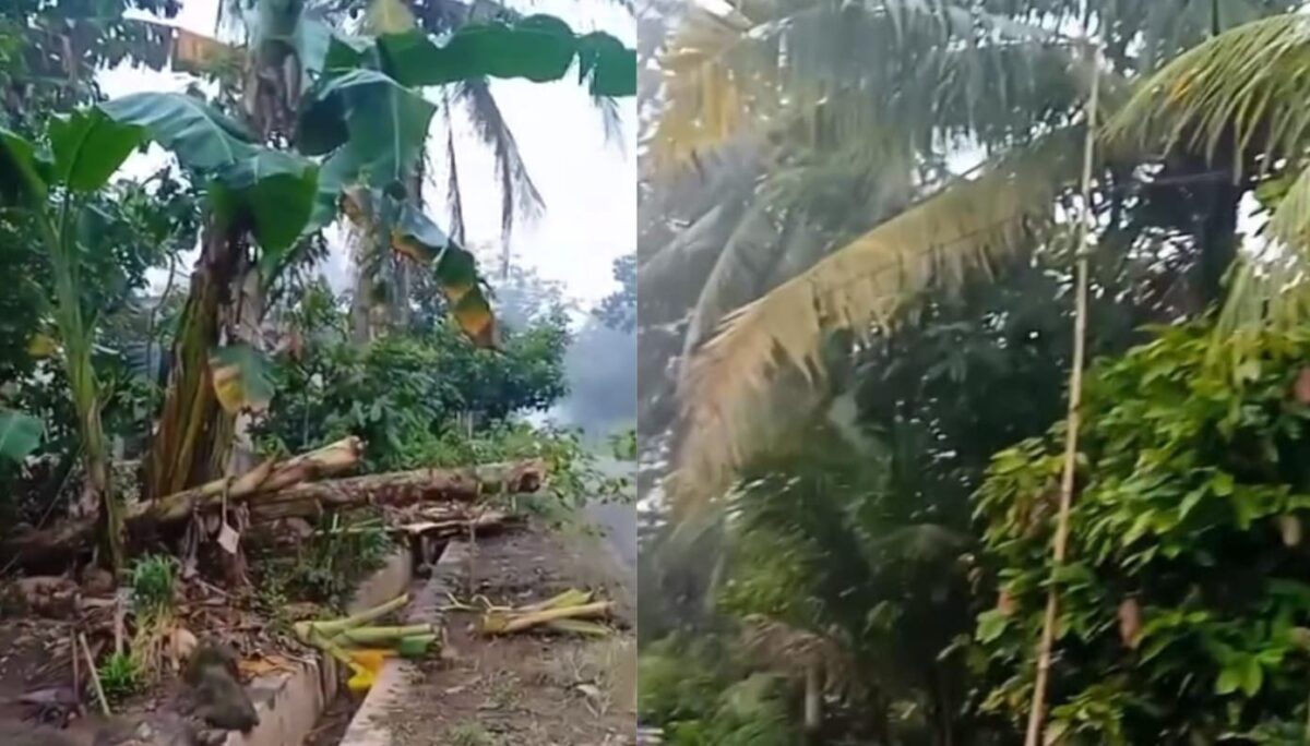 Kolase foto kabel WiFi yang menjuntai di ares sebelah barat Pondok Al Hidayah arah Waringinsari, Adiluwih, Pringsewu, Jumat 6 Februari 2026 | ist/Media Prioritastv.com.