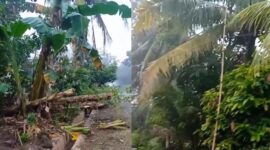Kolase foto kabel WiFi yang menjuntai di ares sebelah barat Pondok Al Hidayah arah Waringinsari, Adiluwih, Pringsewu, Jumat 6 Februari 2026 | ist/Media Prioritastv.com.