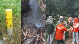 Kolase foto patok kuning yang diduga dipasang pihak lain, sumber air boloran H. Taib milik almarhum H. Muhyin dan saat BPN Tanggamus didampingi penasehat hukum ahli waris meninjau lokasi, Selasa 10 Februari 2026 | Herdi/Media Prioritastv.com.