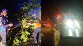 Kolase foto saat petugas gabungan membersihkan longsoran dan pohon tumbang di Jalan Raya Batu Kramat, Kota Agung Timur, Tanggamus, Rabu 11 Februari 2026 | ist/Media Prioritastv.com.