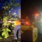 Kolase foto saat petugas gabungan membersihkan longsoran dan pohon tumbang di Jalan Raya Batu Kramat, Kota Agung Timur, Tanggamus, Rabu 11 Februari 2026 | ist/Media Prioritastv.com.