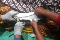 Petugas Damkarmat Tanggamus saat melepas gips di tangan almarhum Lansia warga Talang Padang yang meninggal dunia, Jumat 13 Februari 2026, malam | Dok. Dinas Pemadam Kebakaran dan Keselamatan Kab. Tanggamus.