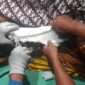 Petugas Damkarmat Tanggamus saat melepas gips di tangan almarhum Lansia warga Talang Padang yang meninggal dunia, Jumat 13 Februari 2026, malam | Dok. Dinas Pemadam Kebakaran dan Keselamatan Kab. Tanggamus.