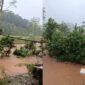 Kolase foto air sungai Way Ilahan yang meluap melibas kolam dan pesawahan warga di Pekon Bakoman, Pulau Panggung, Tanggamus, Senin 16 Februari 2026 | ist/Media Prioritastv.com.