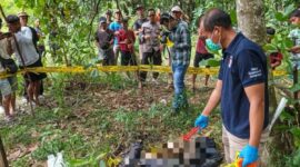 Polisi saat melakukan identifikasi penemuan kerangka manusia di Kampung Gunung Agung, Terusan Nunyai, Lampung Tengah, Minggu 15 Februari 2026 | Dok. Humas Polres Lampung Tengah.