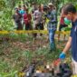 Polisi saat melakukan identifikasi penemuan kerangka manusia di Kampung Gunung Agung, Terusan Nunyai, Lampung Tengah, Minggu 15 Februari 2026 | Dok. Humas Polres Lampung Tengah.