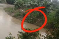 Titik lokasi penemuan jenazah di Kedung Ratu Pekon Jatiagung, Ambarawa, Pringsewu, Kamis 19 Februari 2026, sore | ist/Media Prioritastv.com.